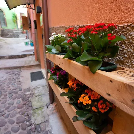 Guest house Casa Mirto *