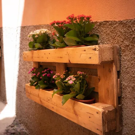Casa Mirto Affittacamere *