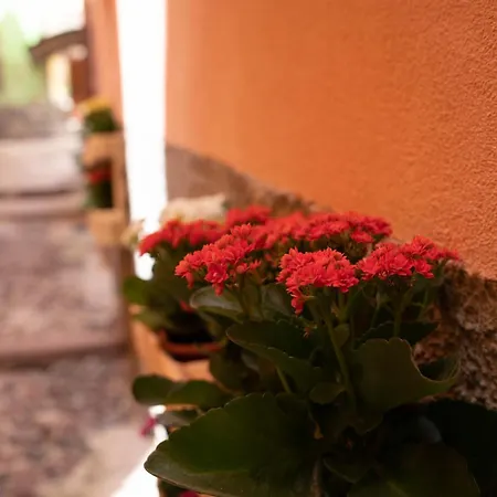 Casa Mirto * Bosa